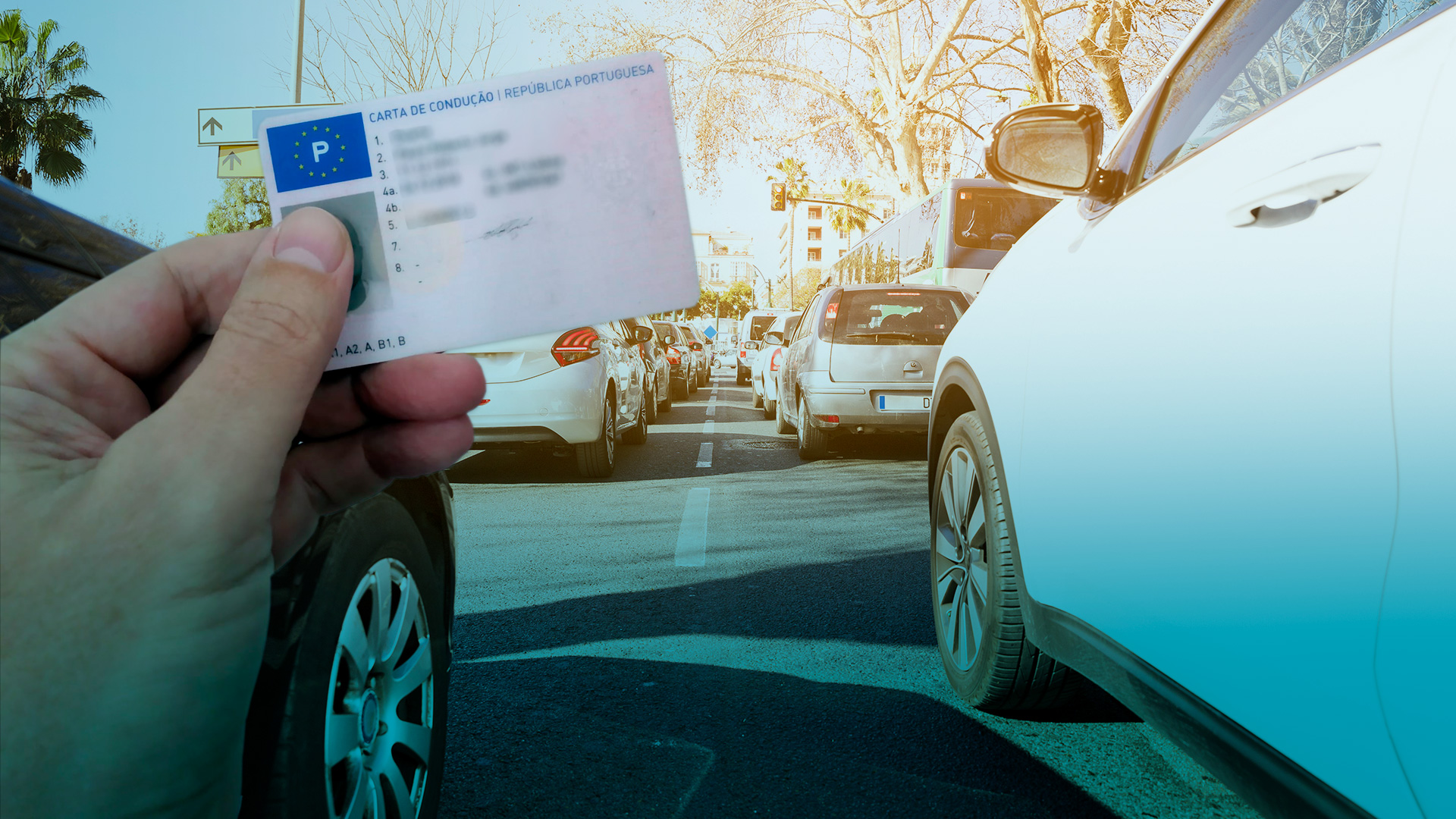 IMT online. Agora pode trocar a carta de condução pela internet